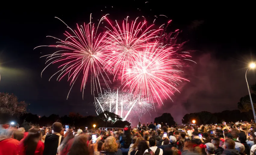 fuegos artificiales en el cielo de la noche, en colores blancos y rojos