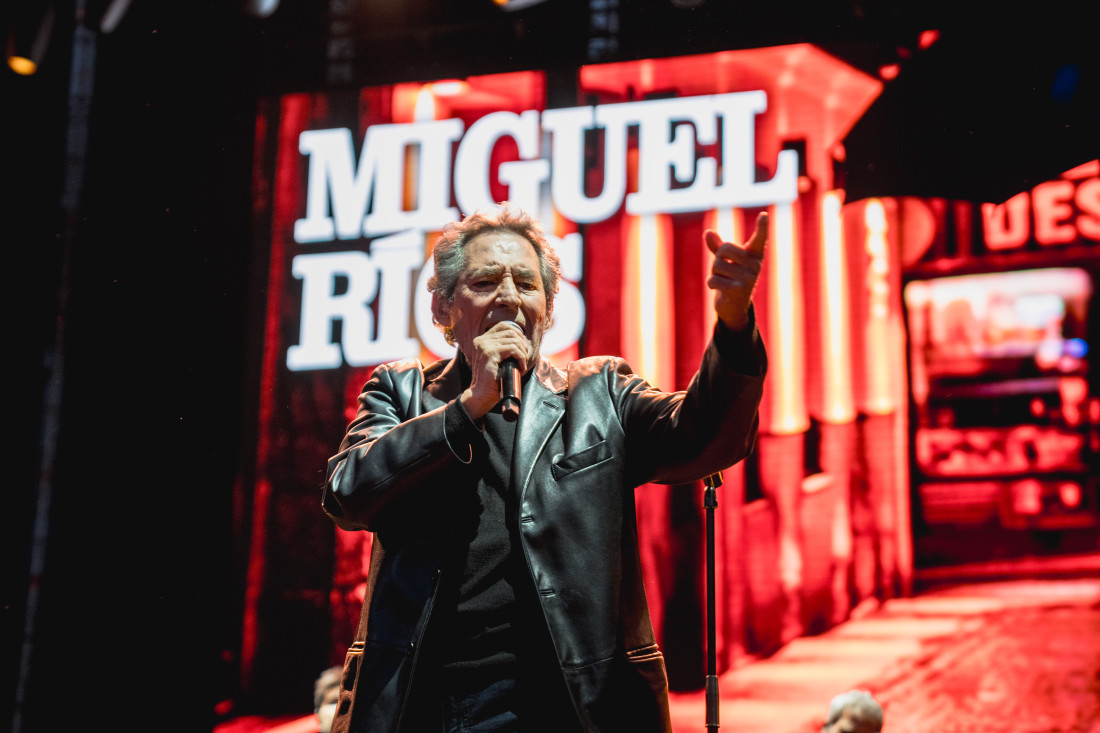 Miguel Ríos en concierto