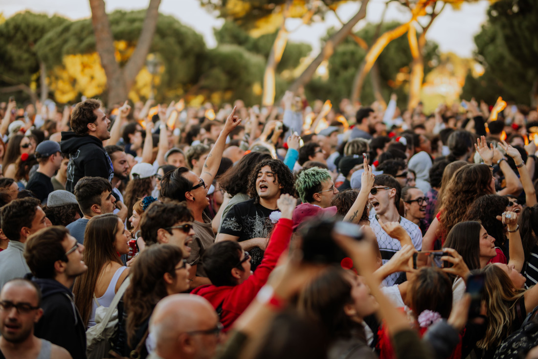 Público en un concierto